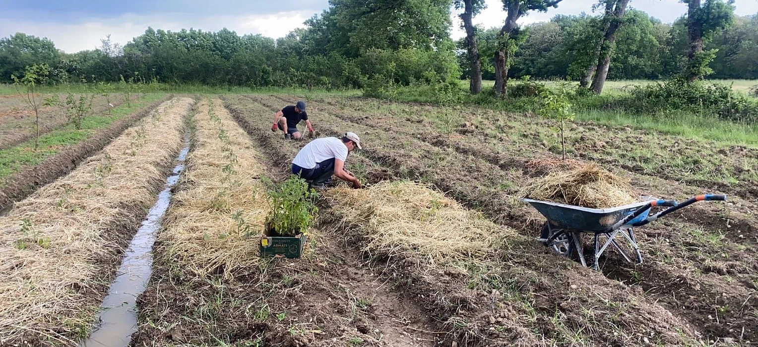 Photo de personne dans un jardin potager
